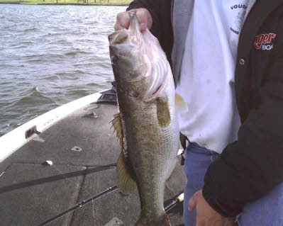 Danny's Monticello bass 2